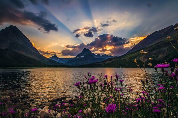 Schöne Natur See Berge Blumen