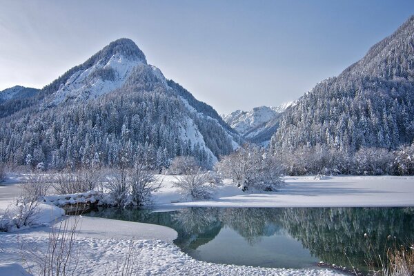 Snow-covered mountain river and trees