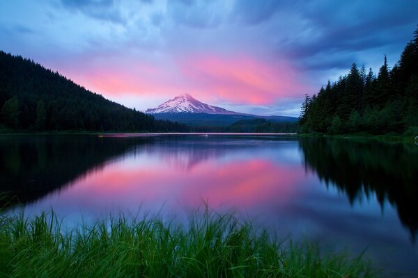 The pink sunset is reflected in the blue water