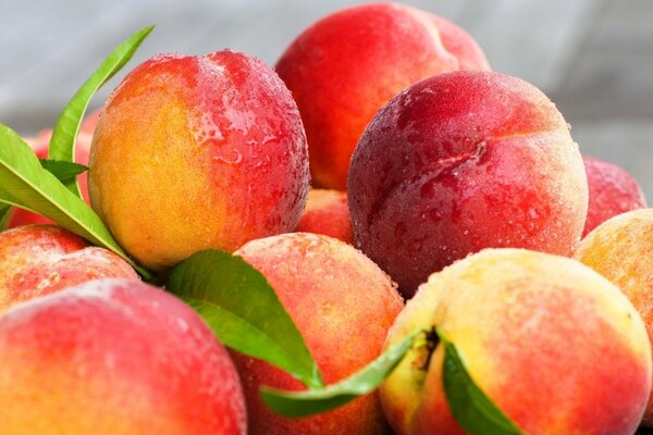 Juicy, fresh peaches in dewdrops