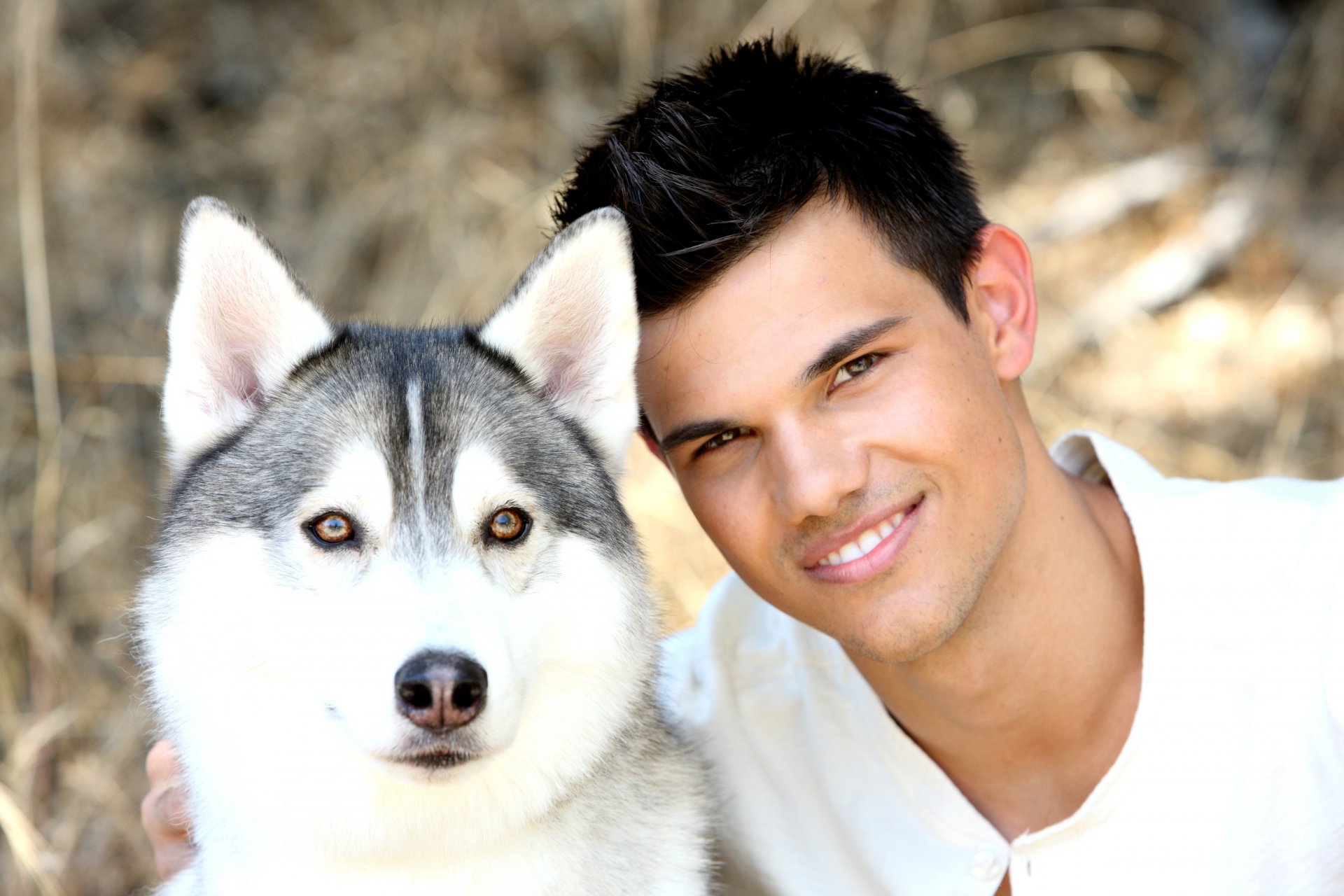 taylor lautner schauspieler hund