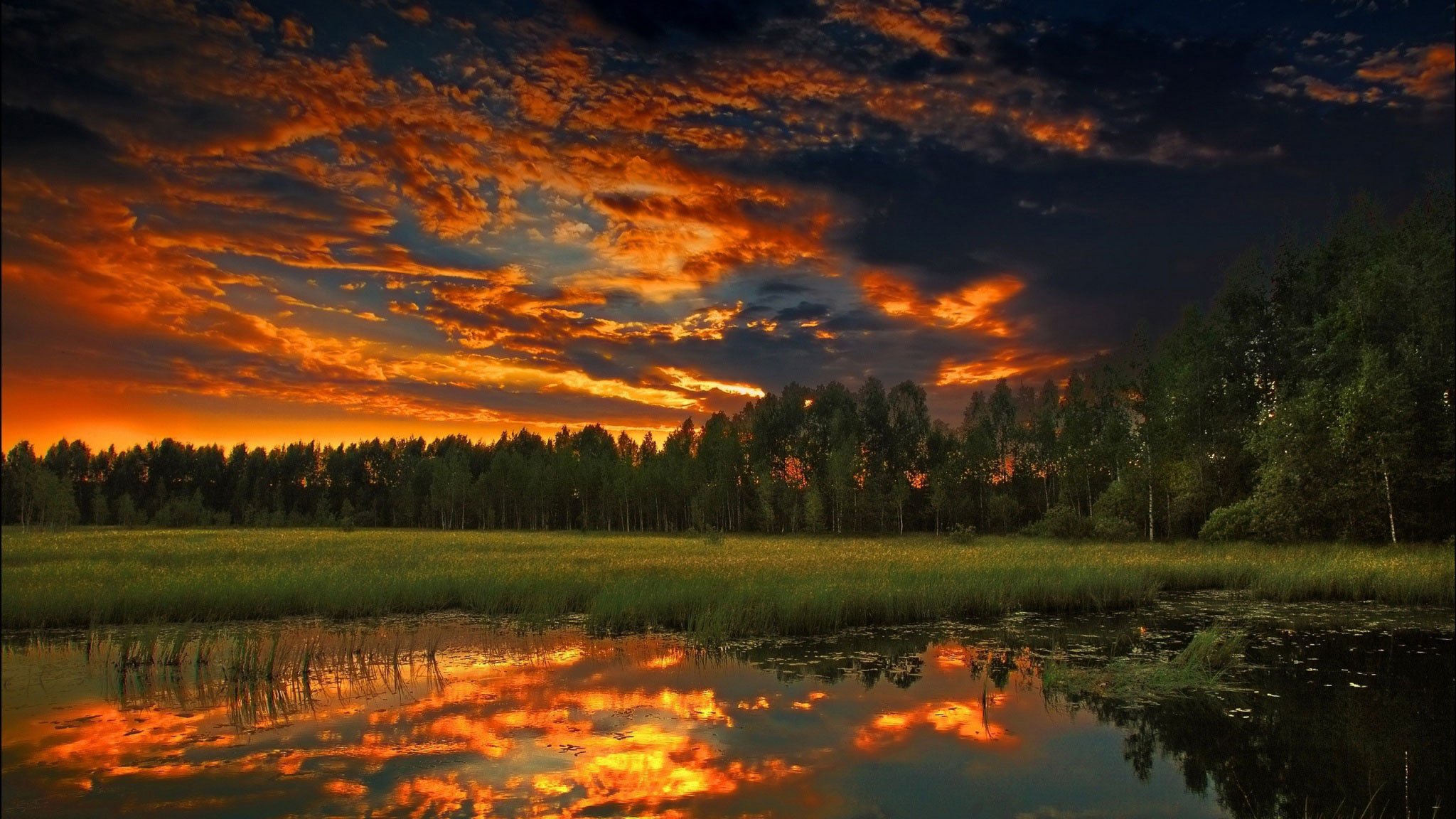 nature the sky clouds sunset forest lake gra