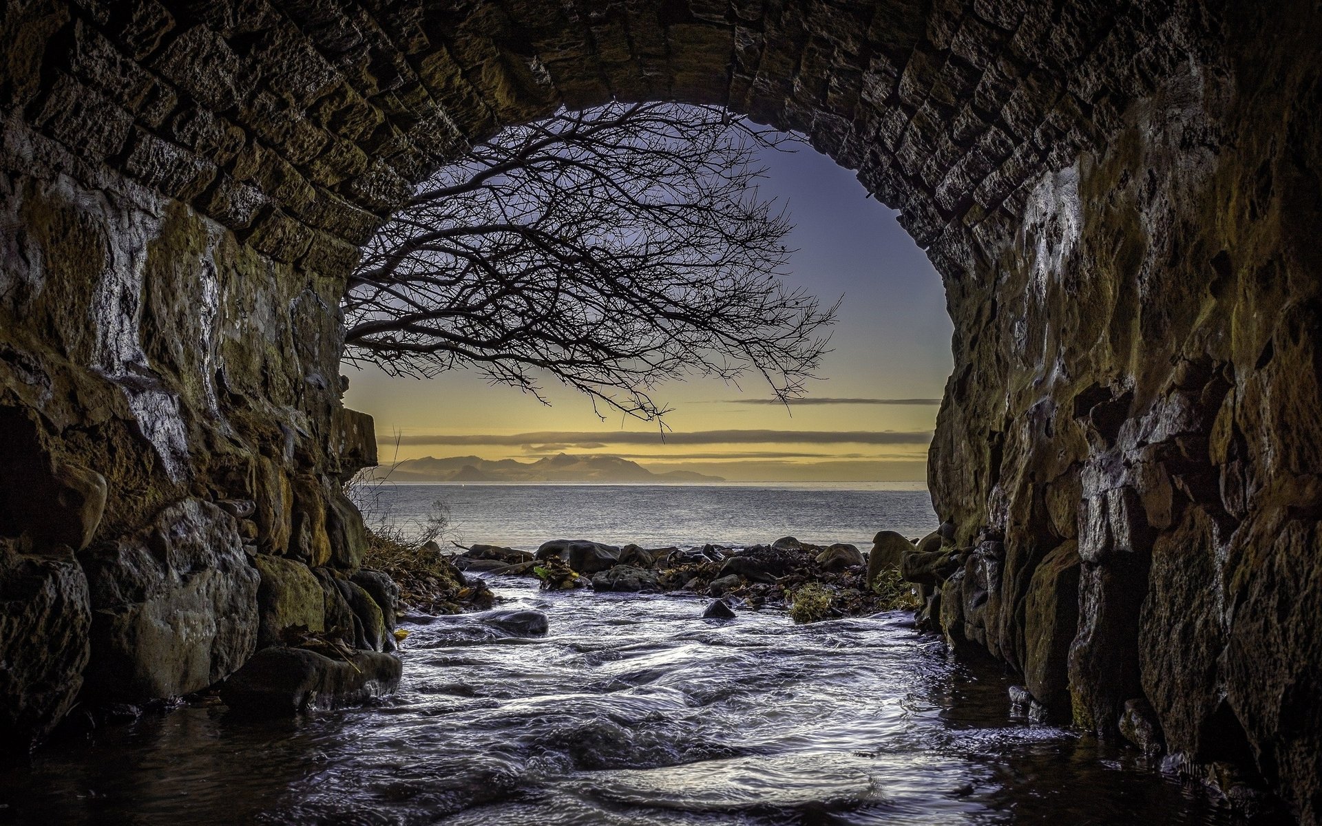 ea nature the tunnel bridge scotland