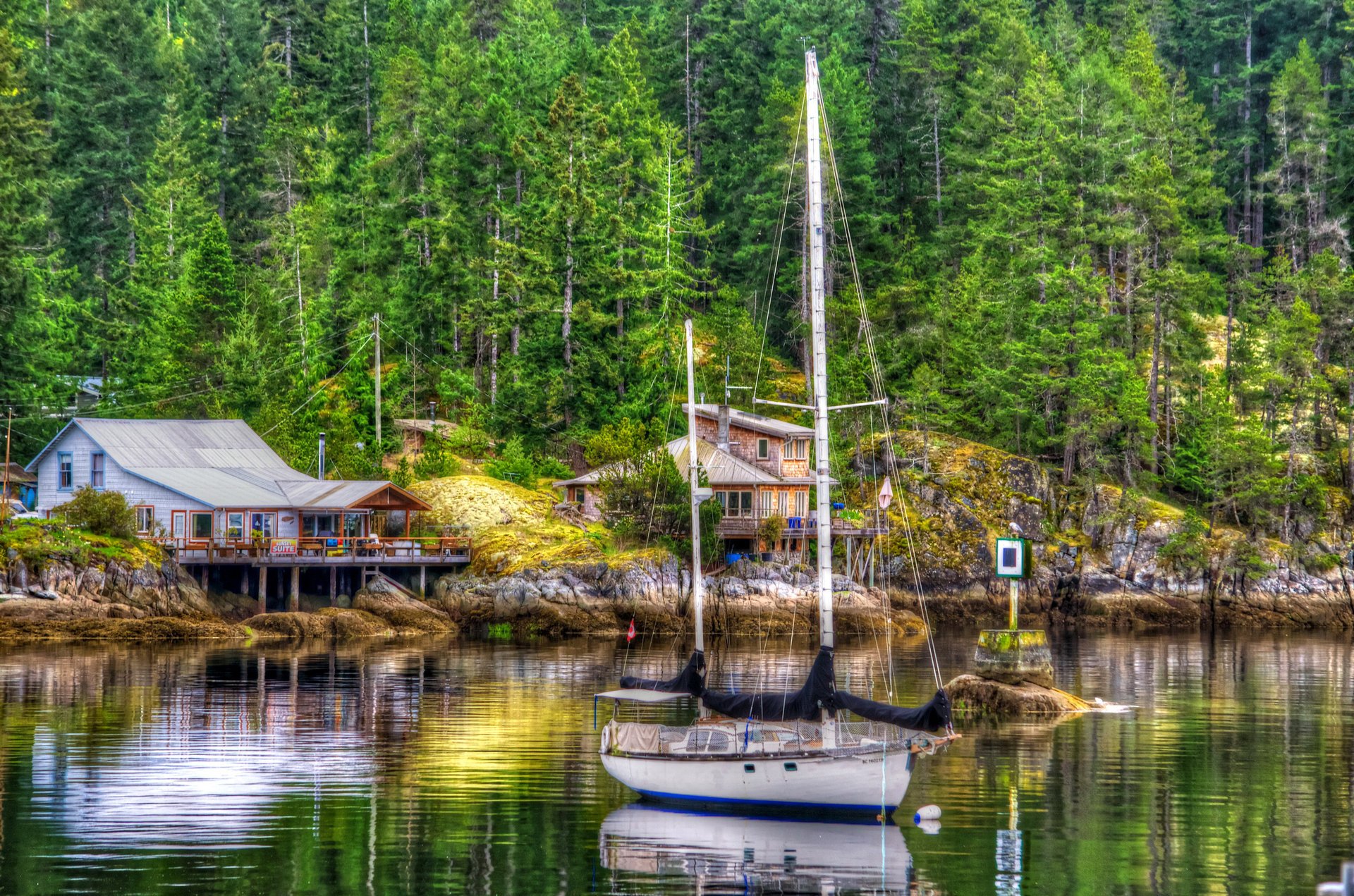 forest lake yacht shore houses stones tree