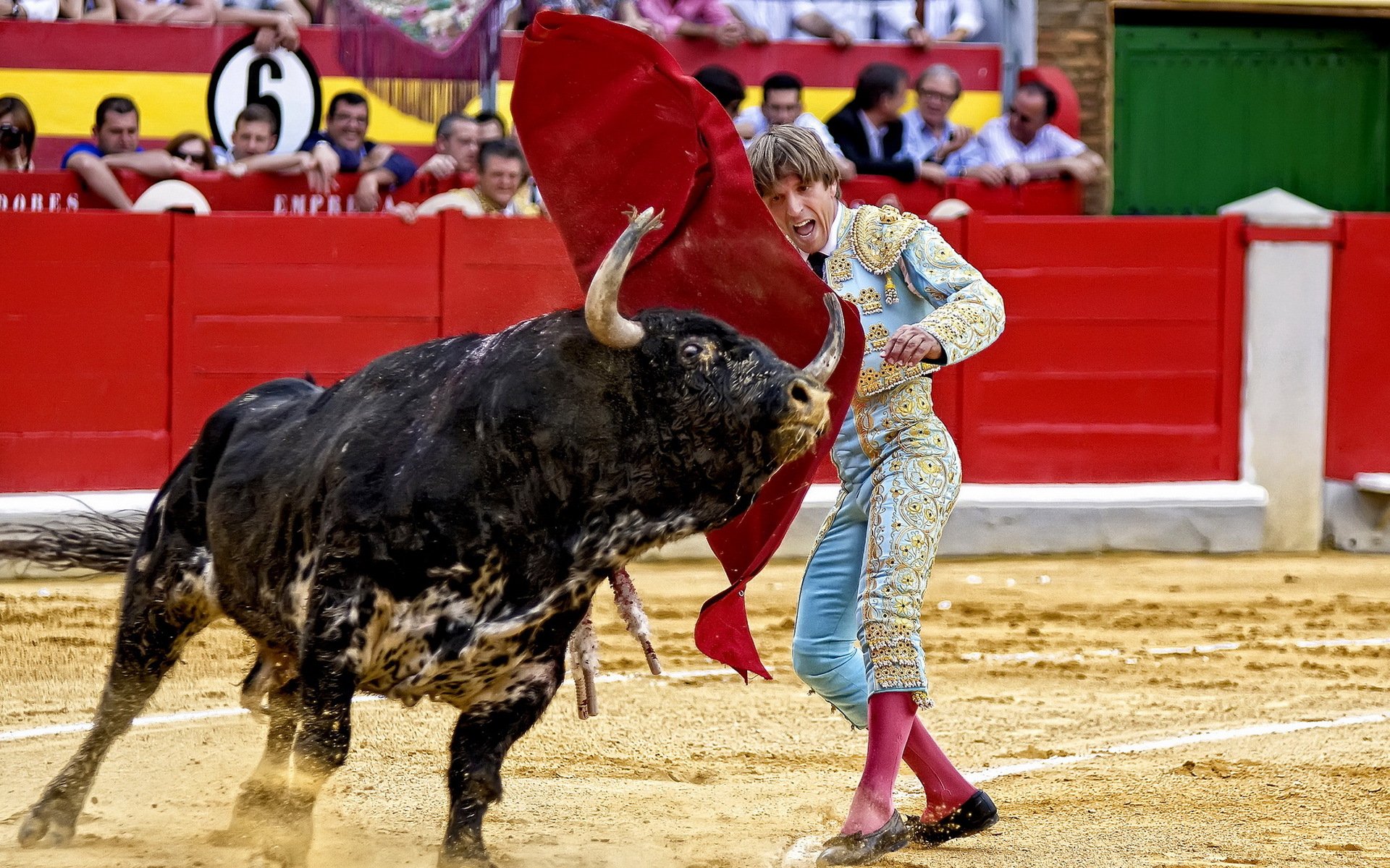 bullfighter bull spain