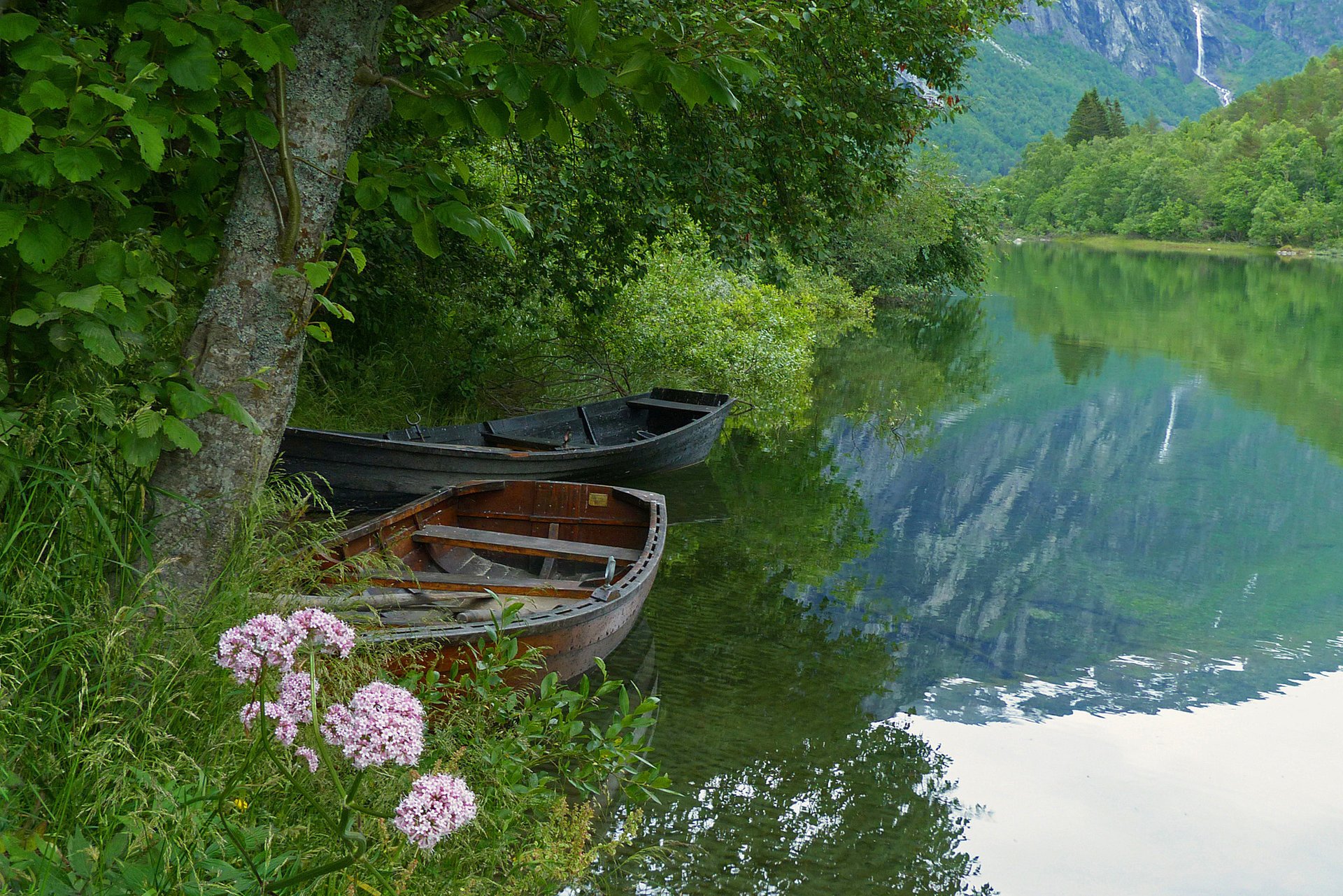 natur sommer fluss boote stille angeln