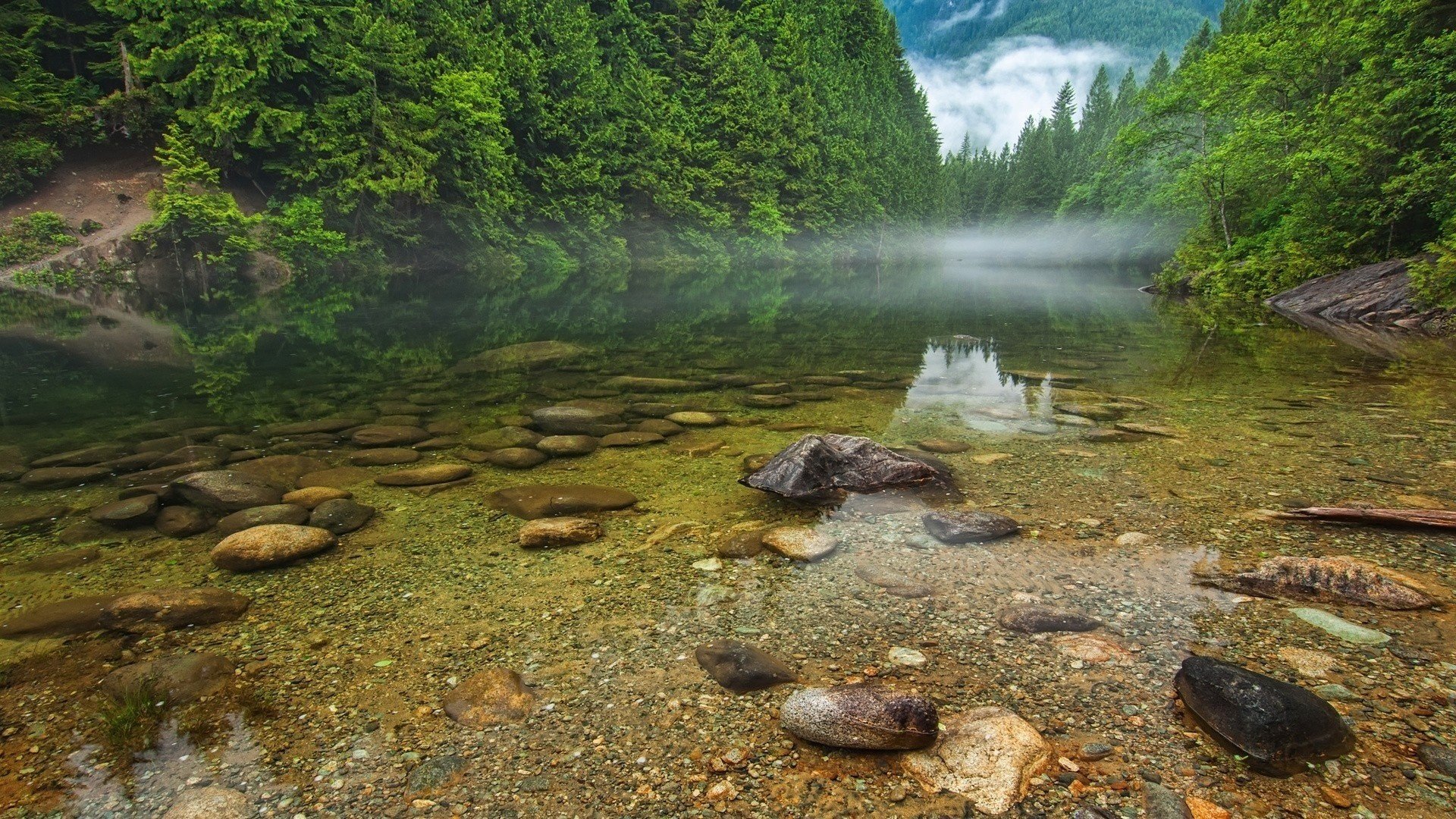 montañas río de montaña bosque