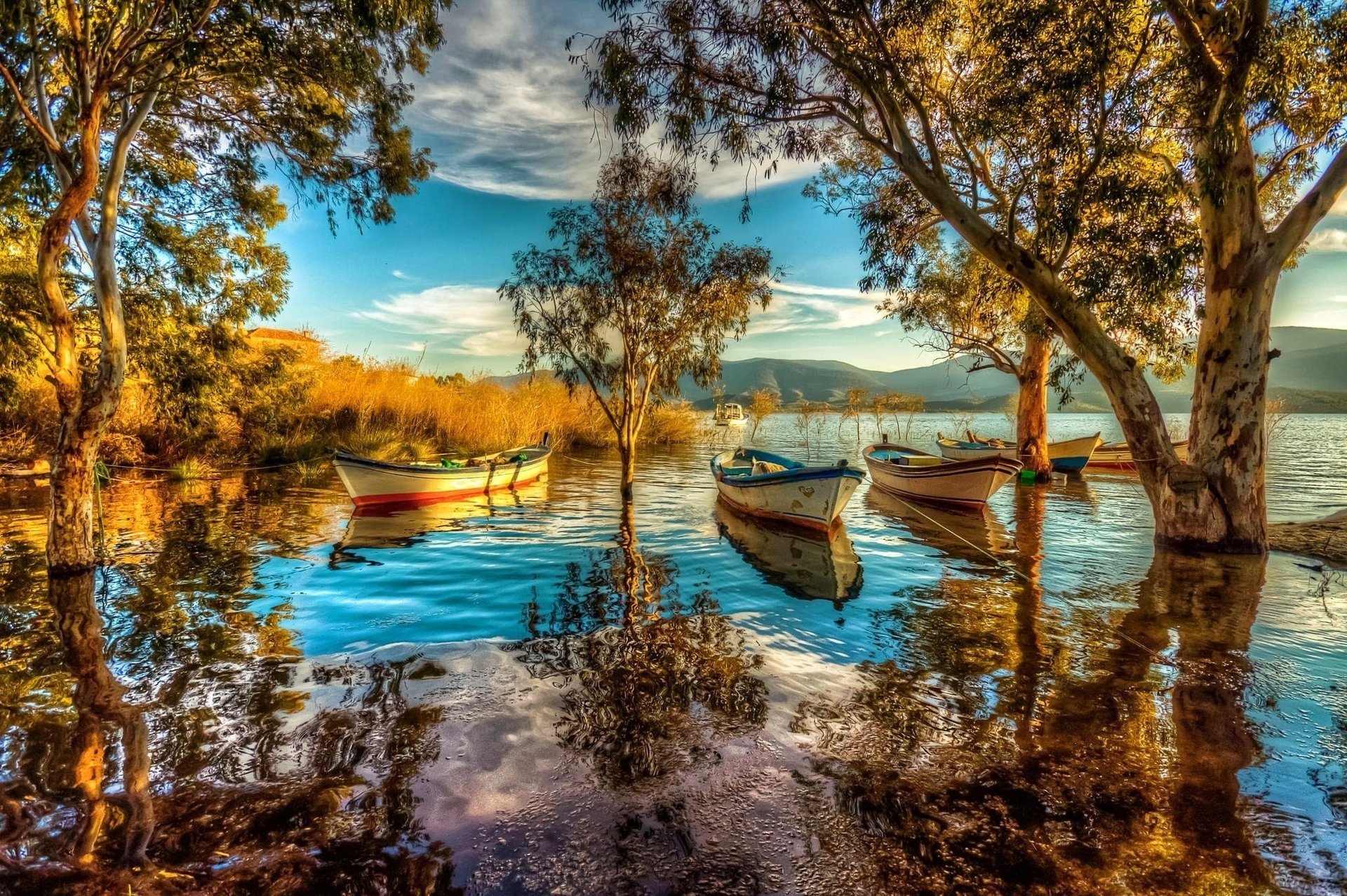 nature lake boat