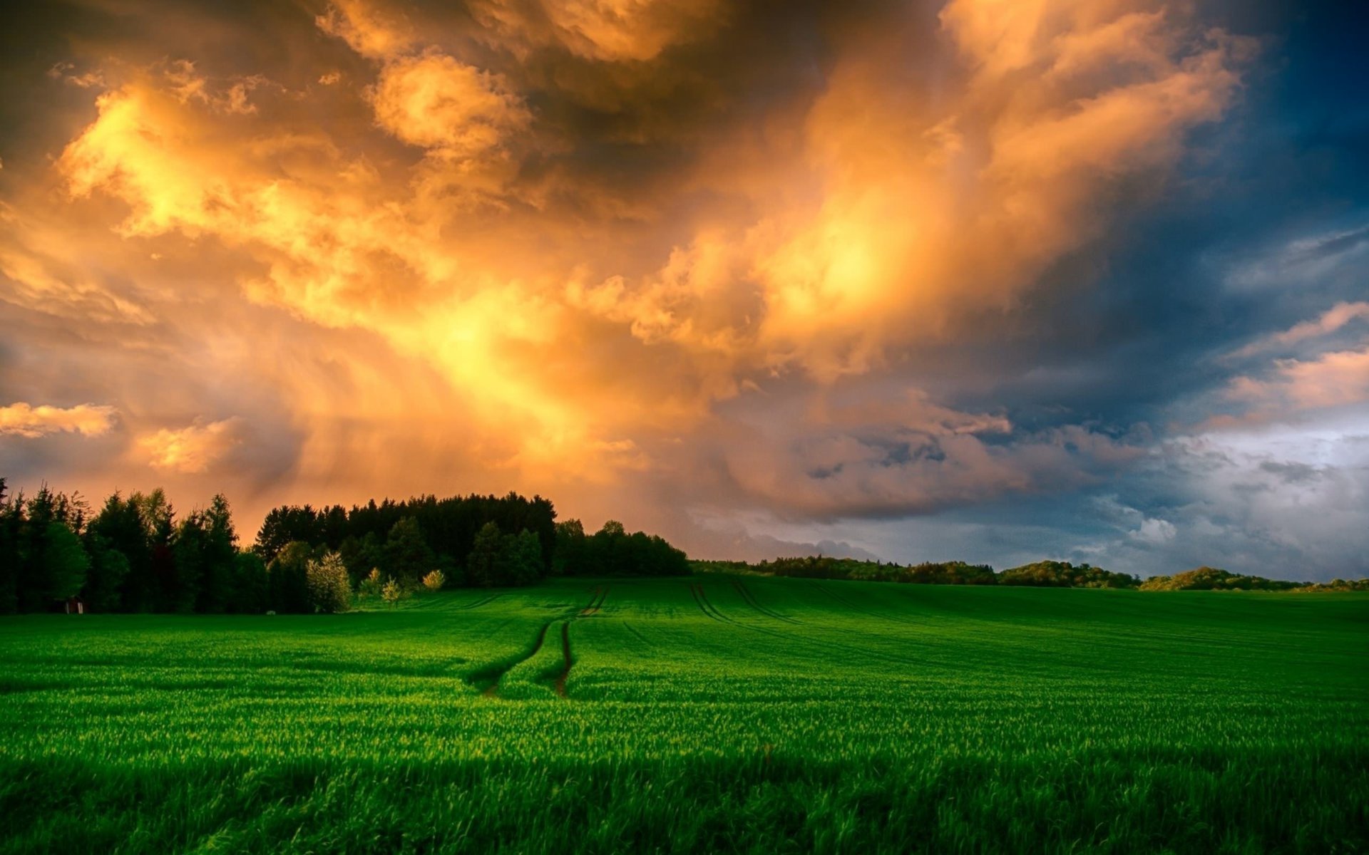 wolken himmel bäume natur landschaft ansicht sonnenuntergang feld