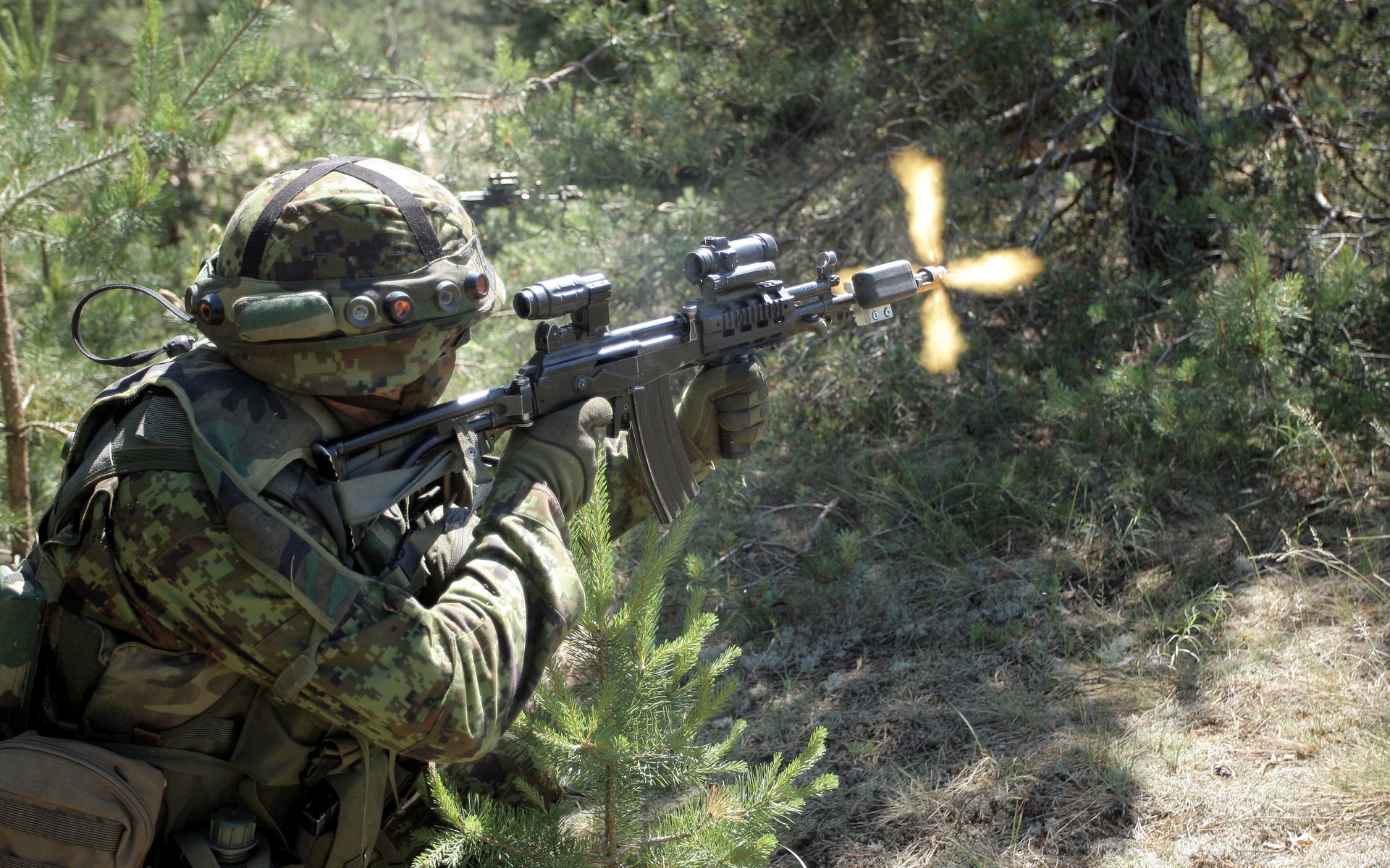 ejército estonio soldado armas