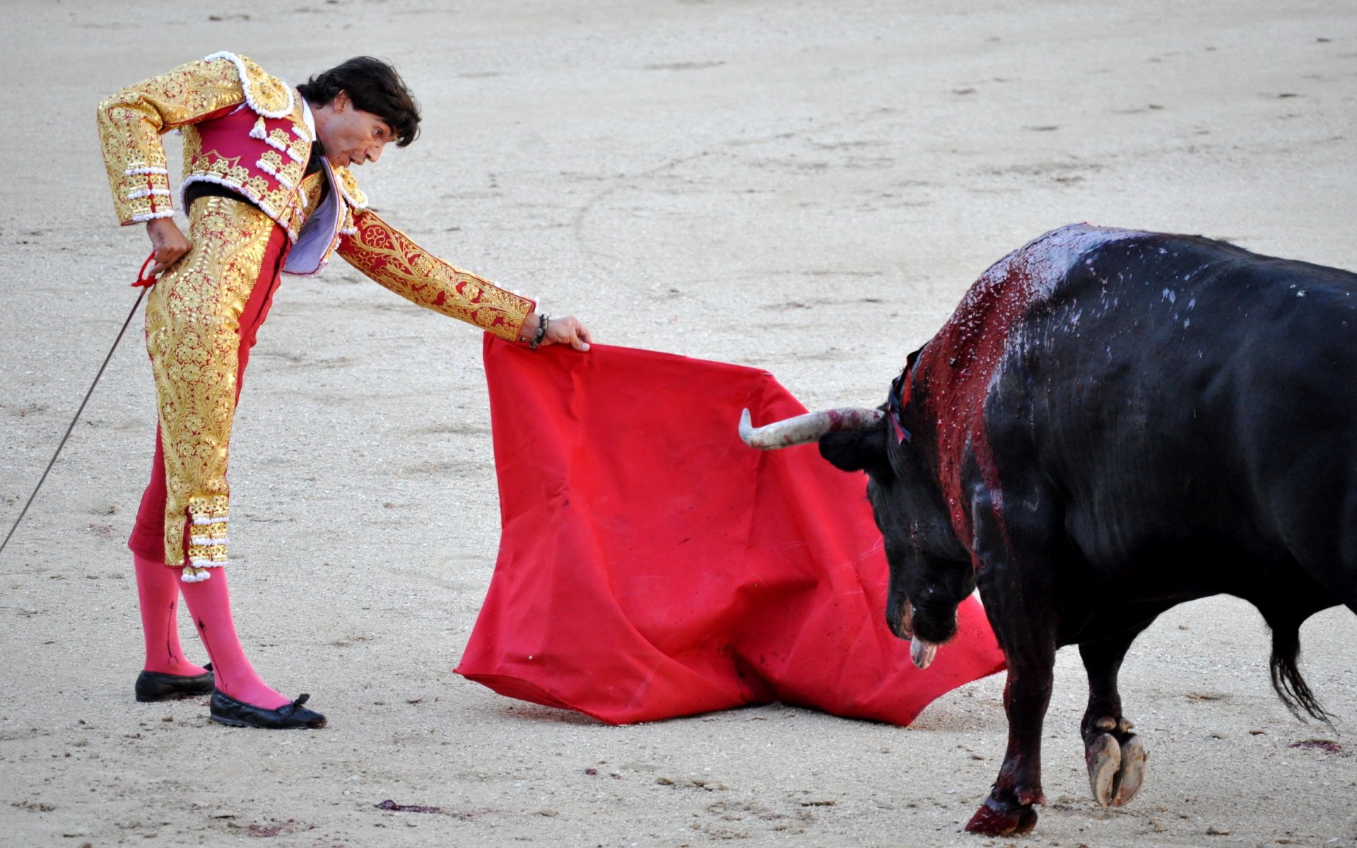 toréador taureau espagne