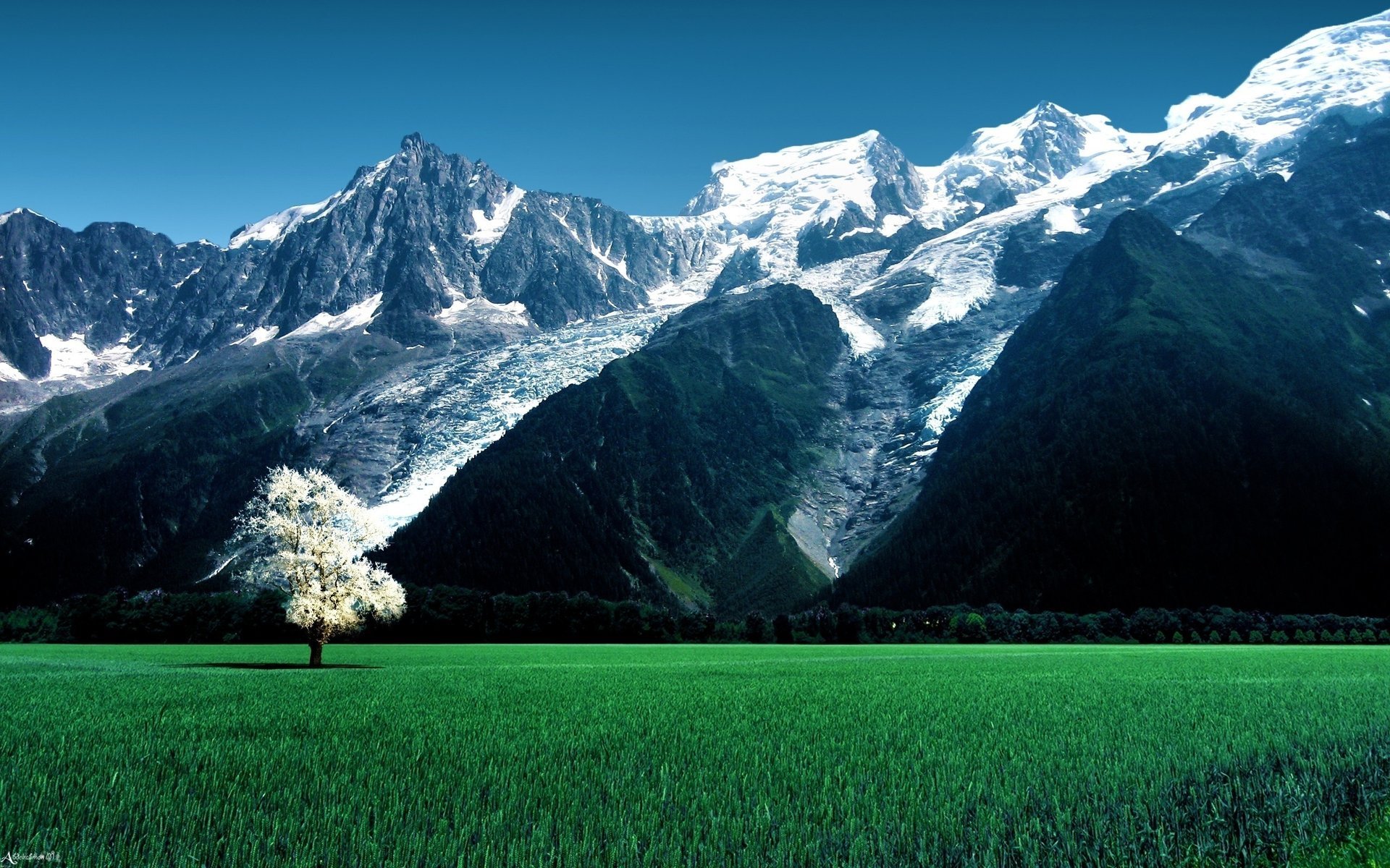 fields skies paysages montagnes champs nature ciel nature montagnes herbe grass trees arbres