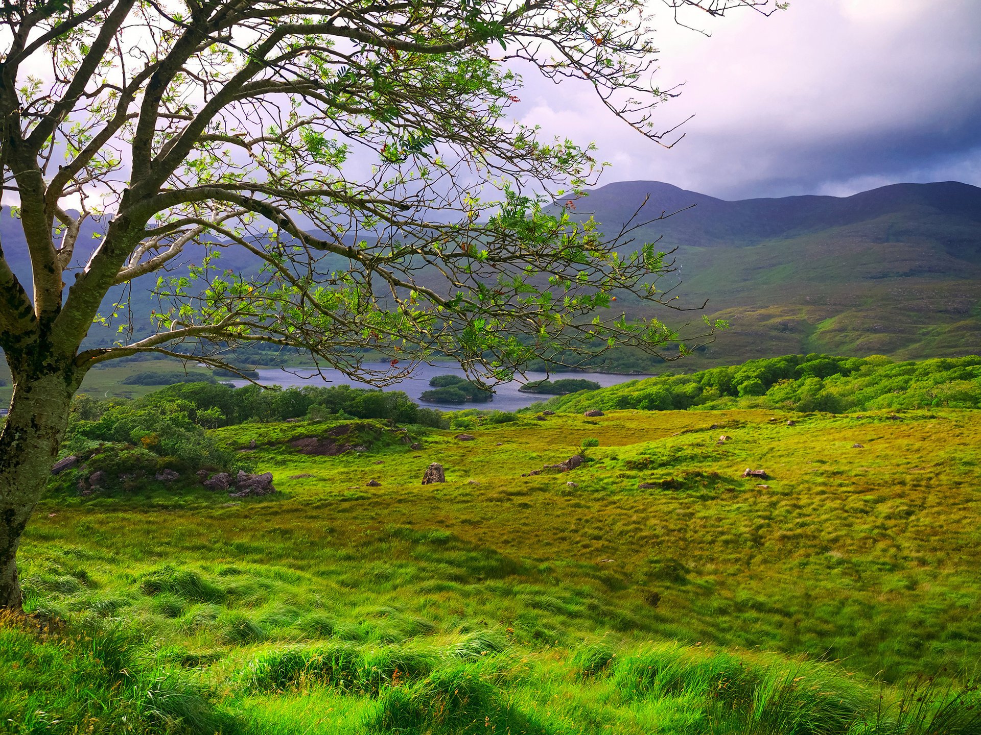 ladies view clare killarney irlandia