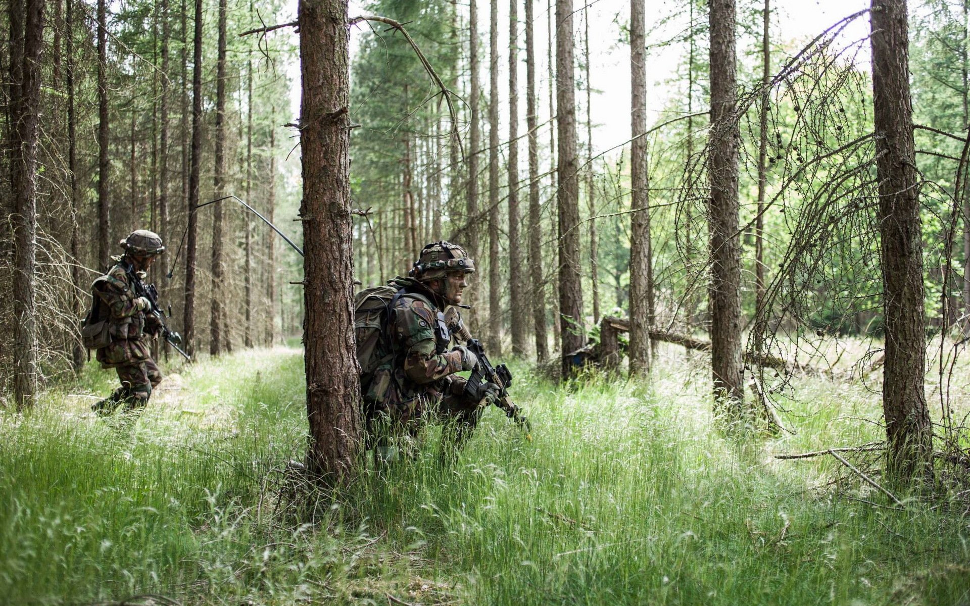 ejército real de los países bajos soldados armas