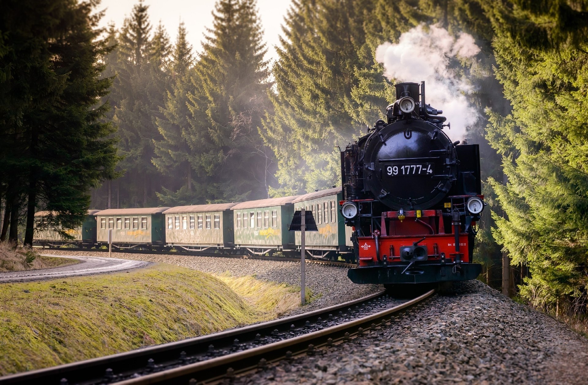 train train forêt