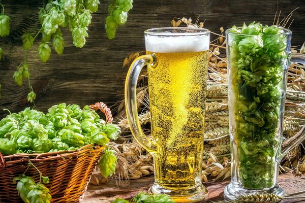 Helles Bier mit Hopfen