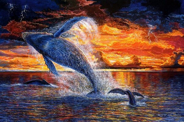 Lot wieloryba w zachód słońca