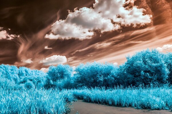 Синие трава и деревья на фоне коричневого неба с белыми облаками