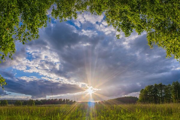 Les rayons du soleil saupoudrent l herbe du matin