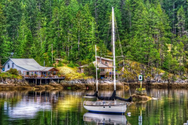 Cabanes dans la verdure au bord du lac