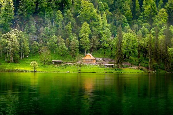 A house on the lake in summer