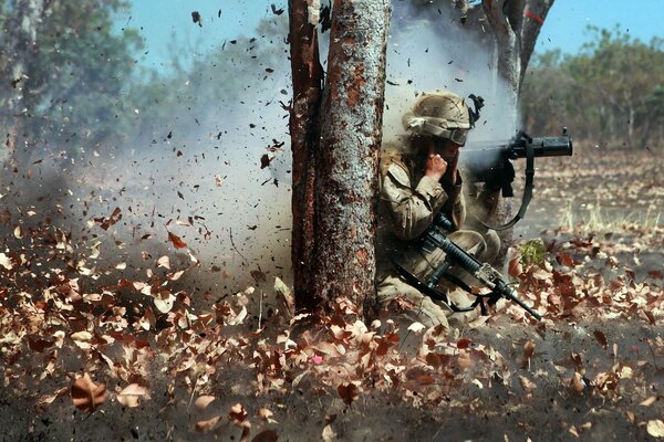 Military behind a tree in the autumn forest