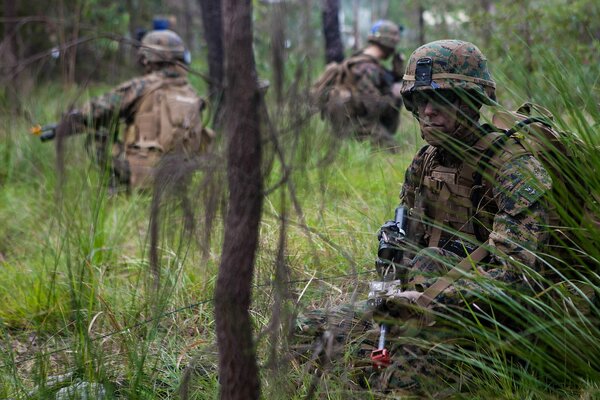 Corpo dei Marines degli Stati Uniti nella foresta