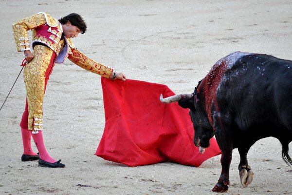 Torero che morde il toro con uno straccio rosso