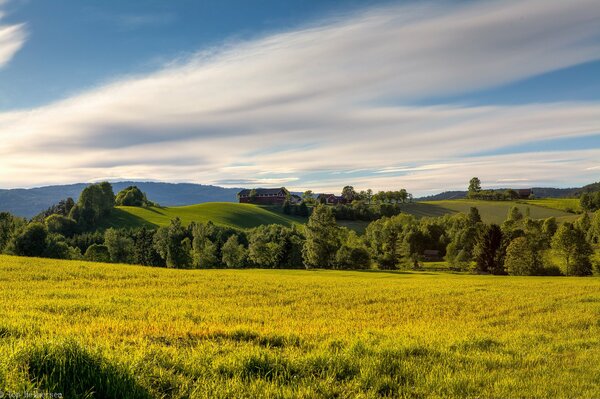 White clouds over a green-yellow field