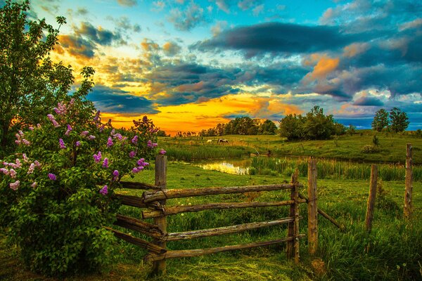 The evening sunset is reflected in the pond behind the fence