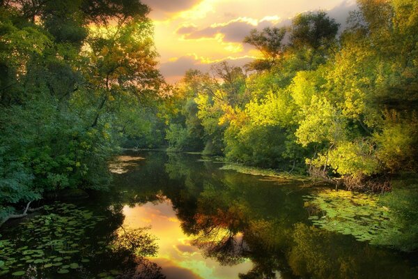 Отражение неба в реке среди леса