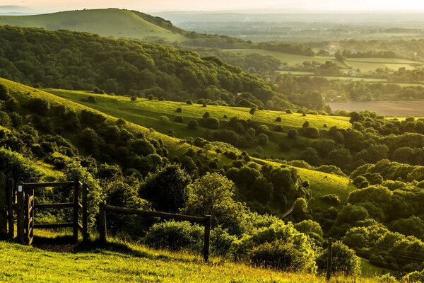 The green landscape of West Sussex England