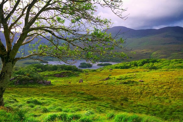 The sun dispels fog in Ireland