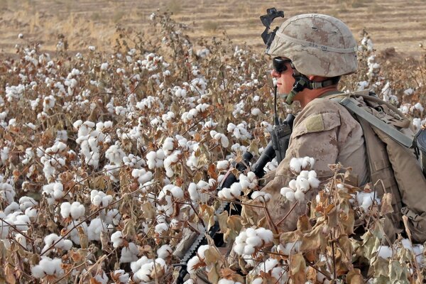 A lone armed soldier in the field