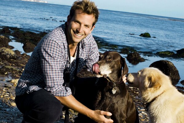 Deux chiens et Bradley Cooper sur le rivage