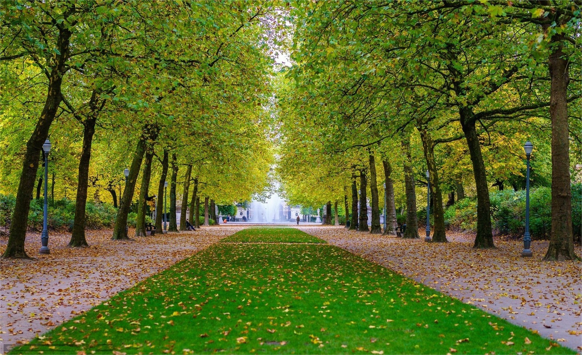 parco alea città piazza