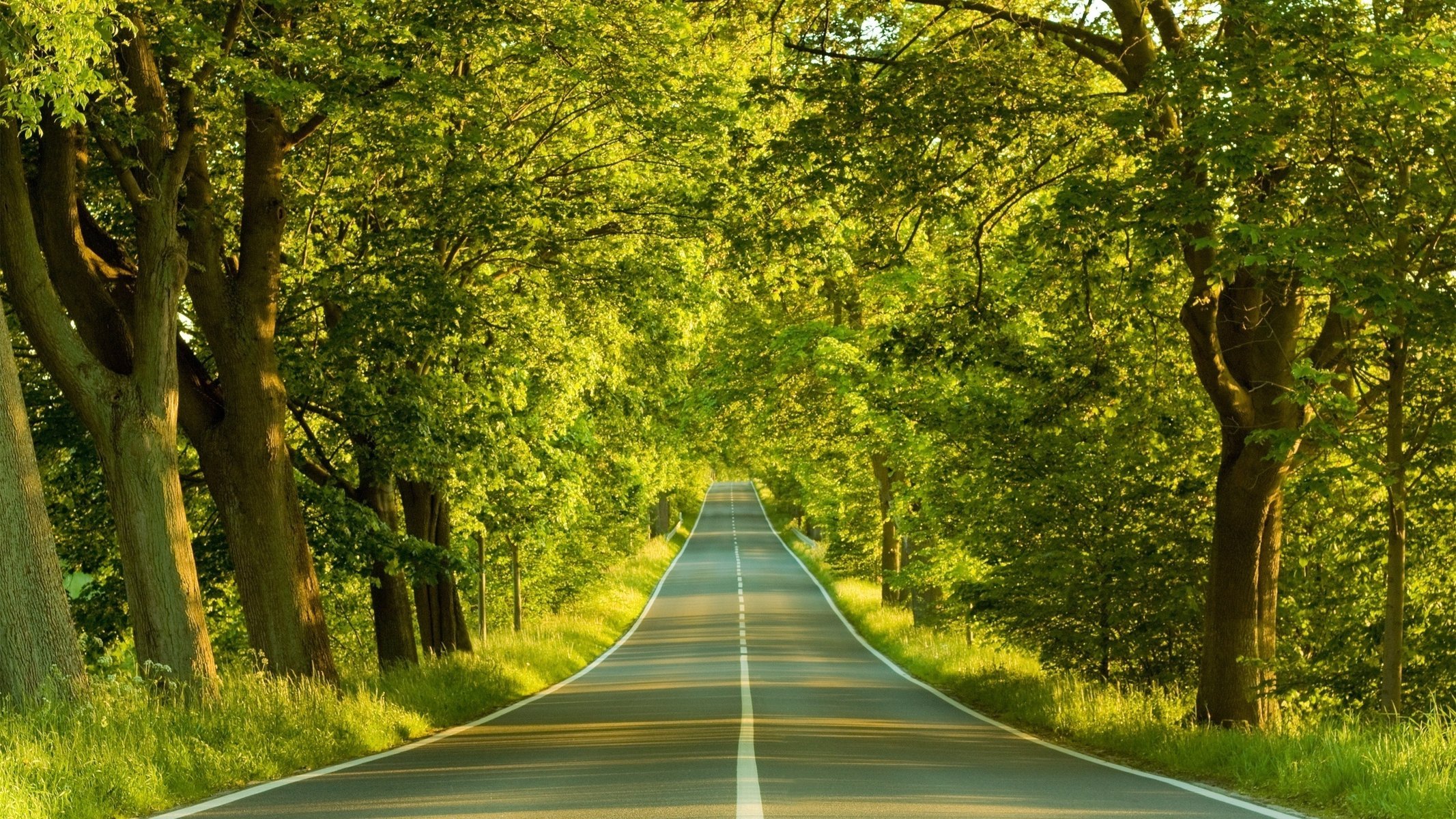 natur sommer straße schön