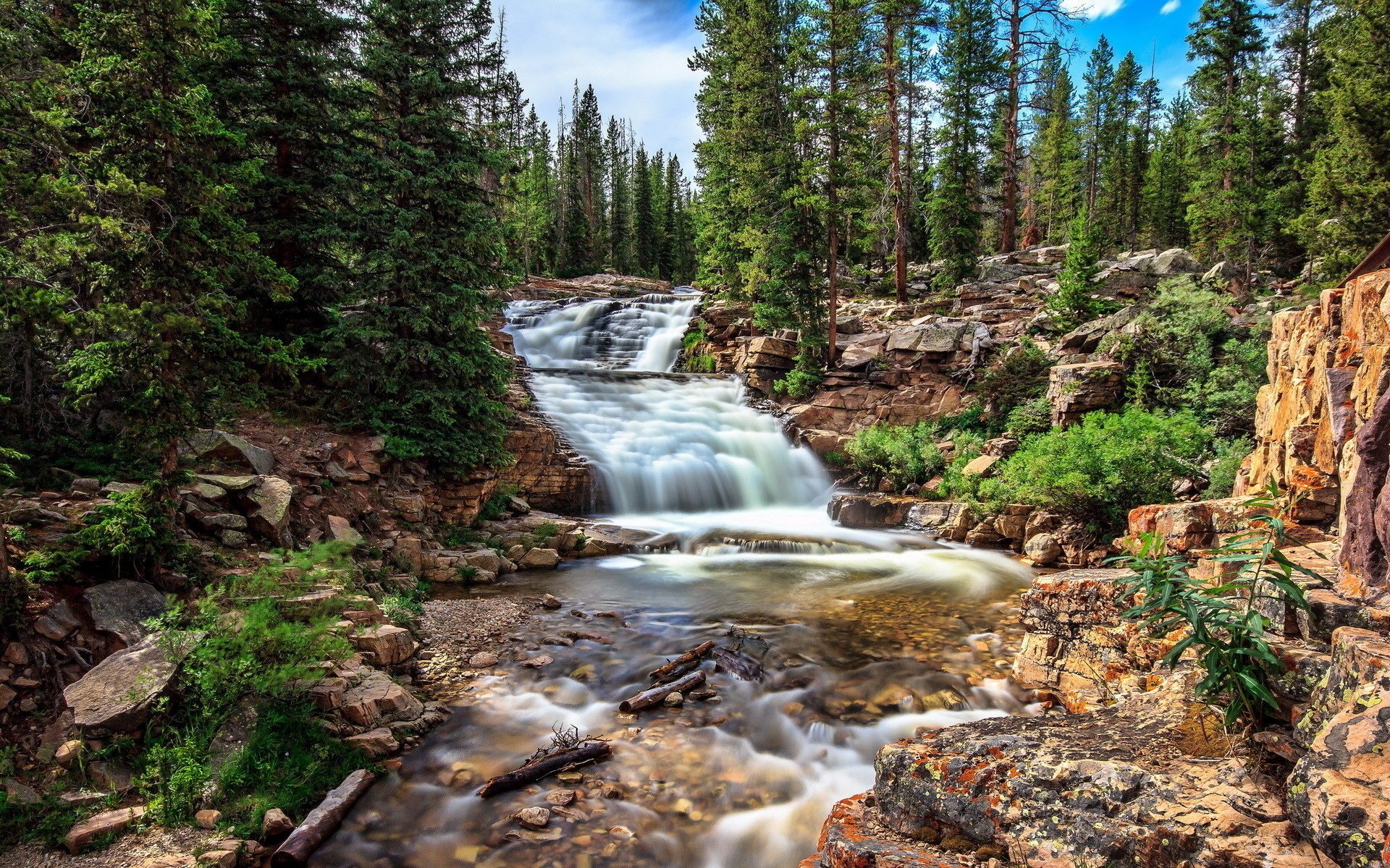 río bosque naturaleza