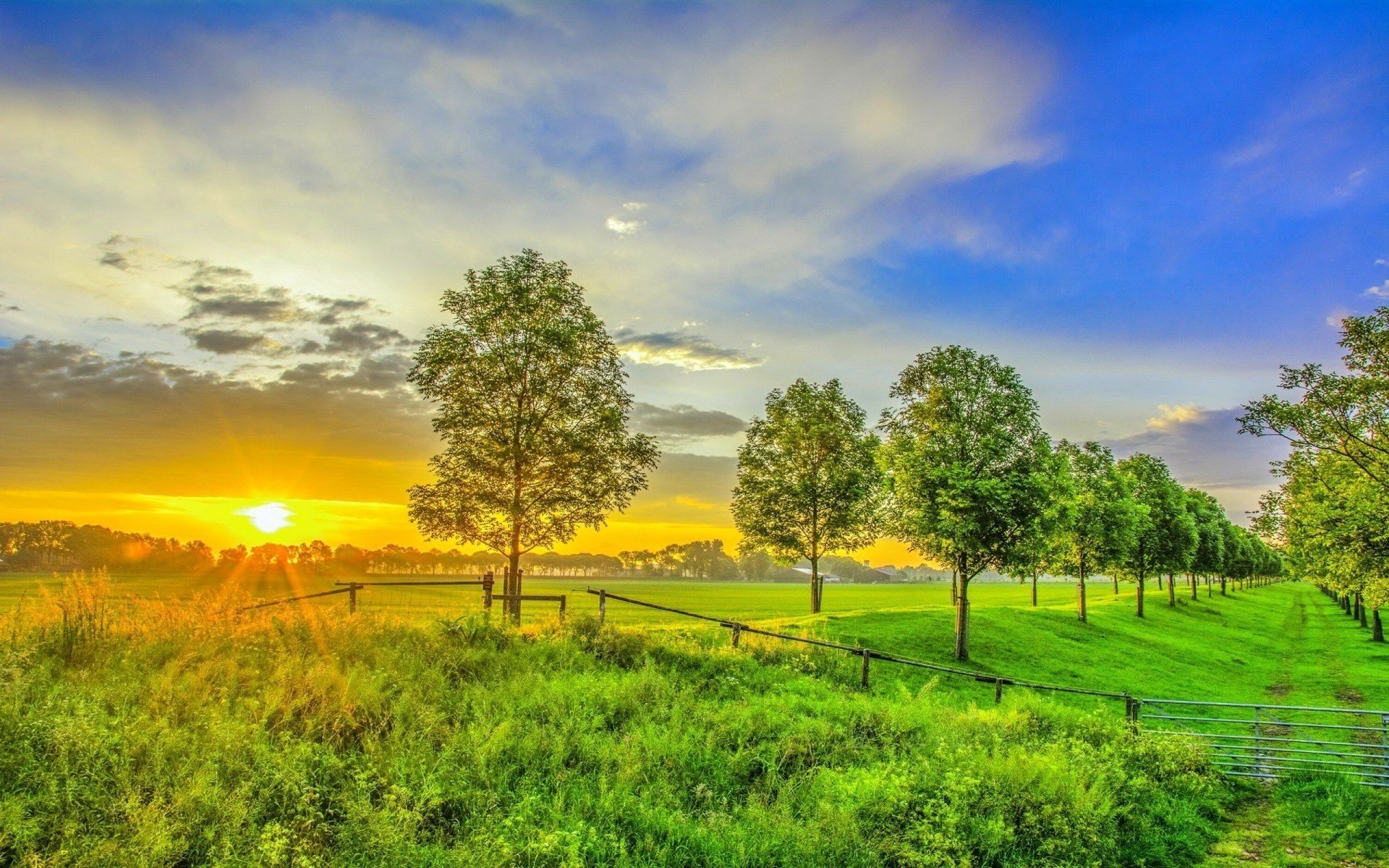 verano jardín puesta de sol hermoso