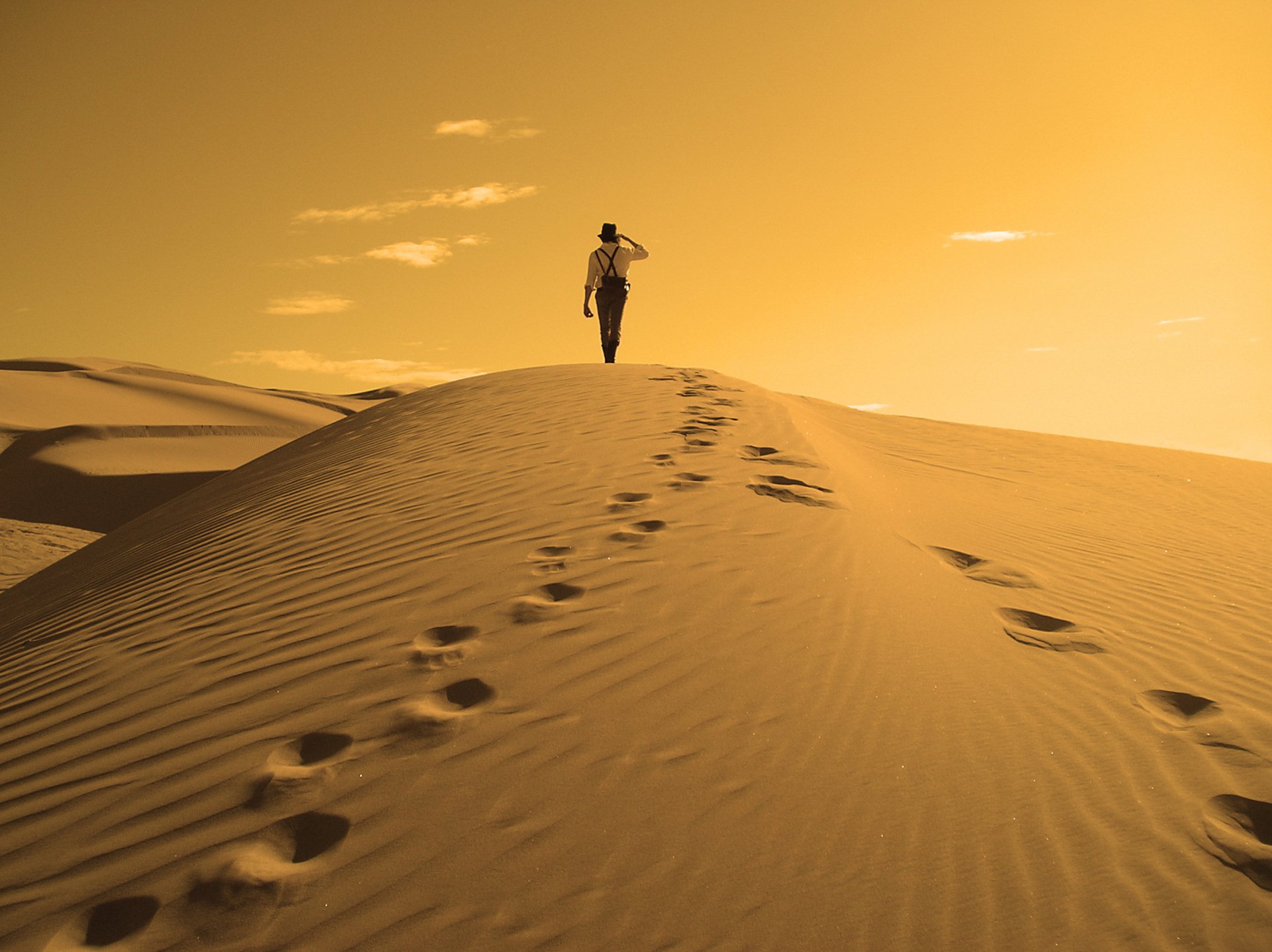 nature désert barkhans dunes soleil homme voyageur voyageur vagabond rêveur