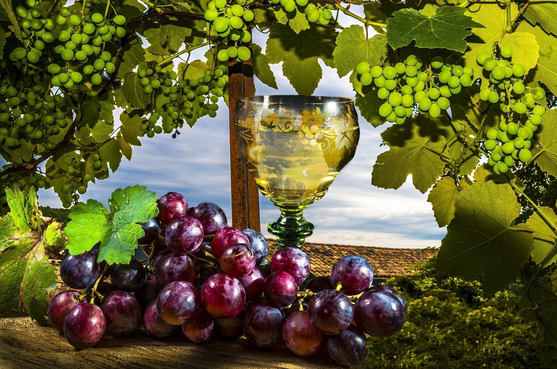 uvas vino copa de vino hojas