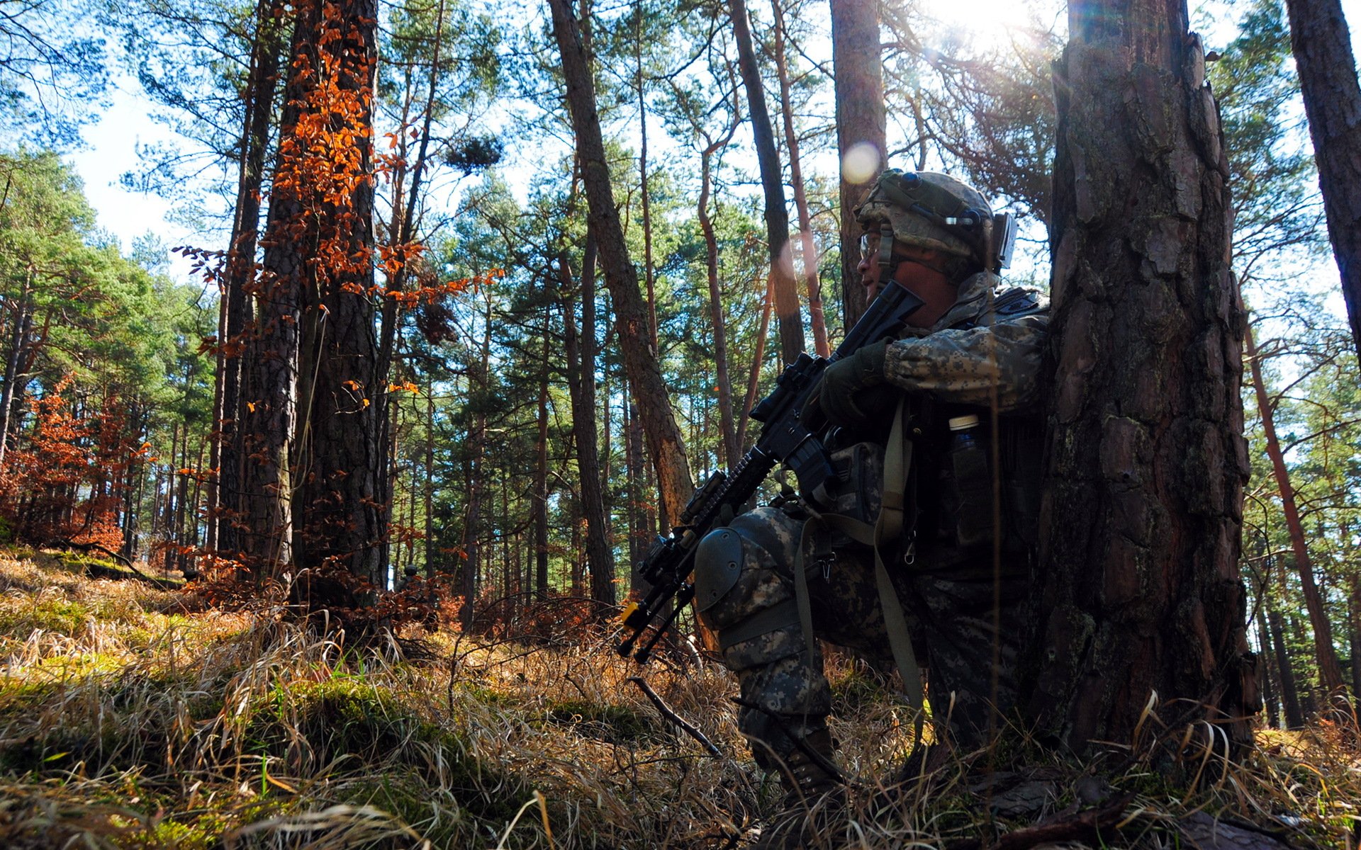 soldat arme forêt