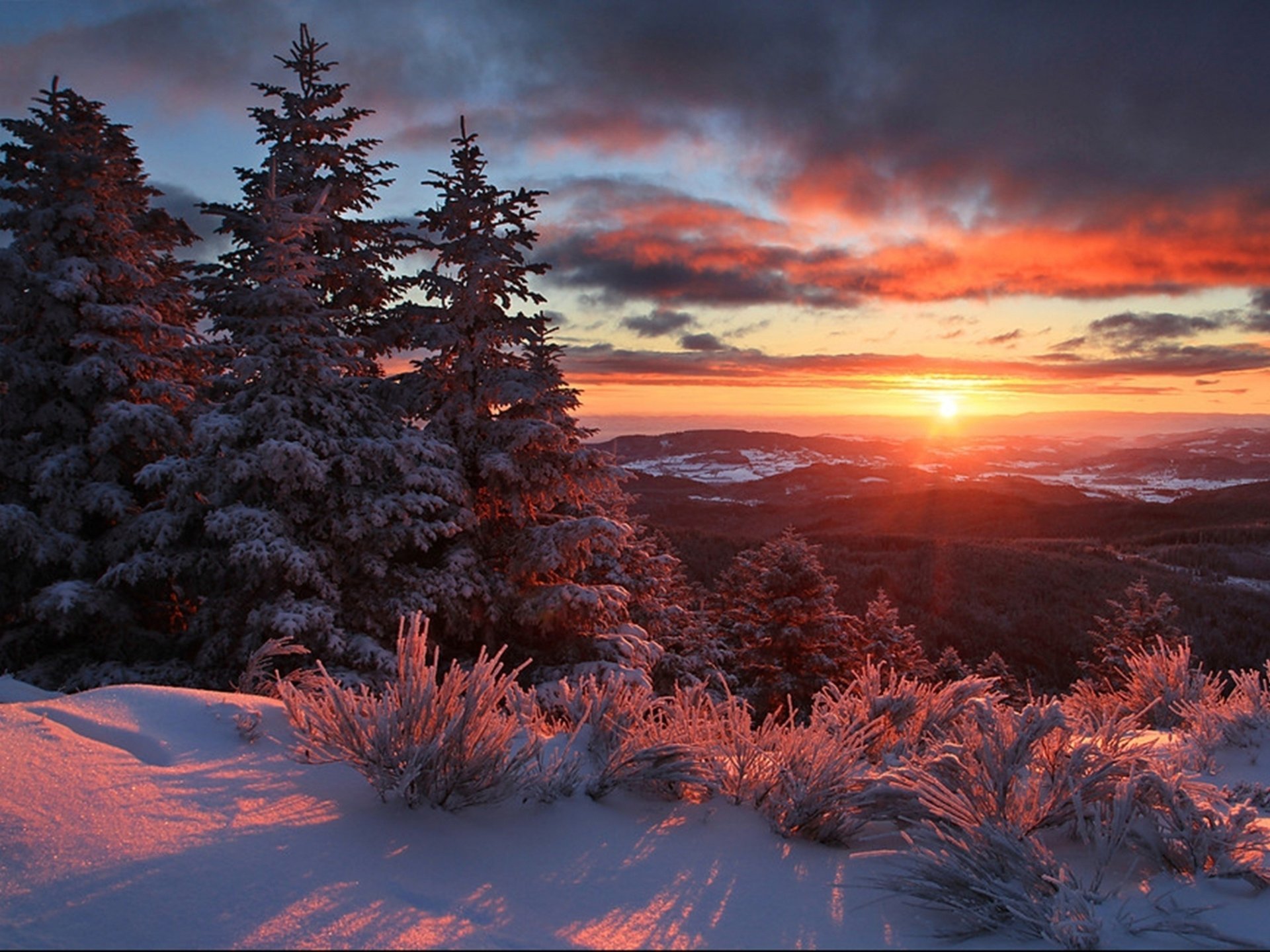 horizon coucher de soleil sapin neige hiver nuages