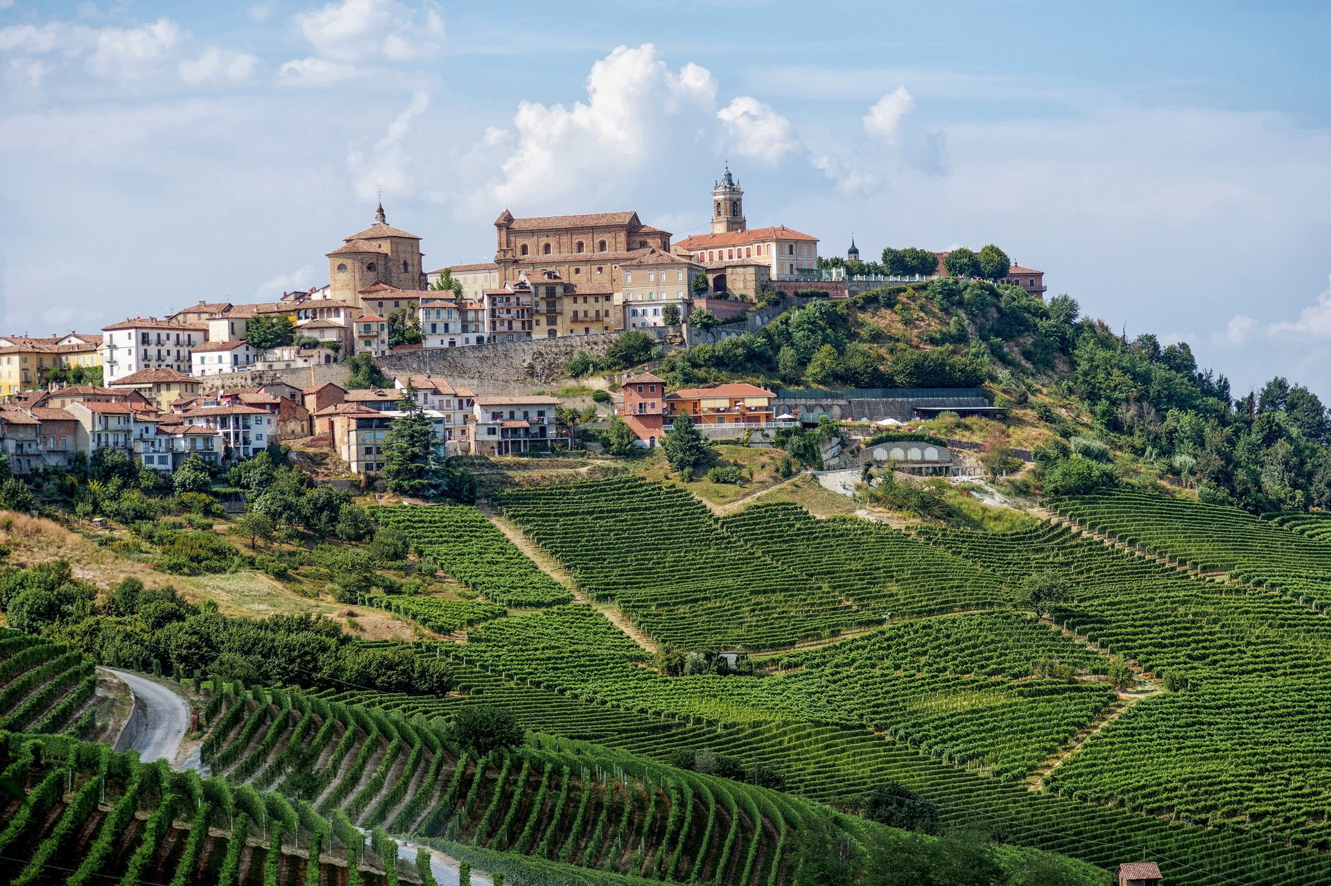 vigneti città italia