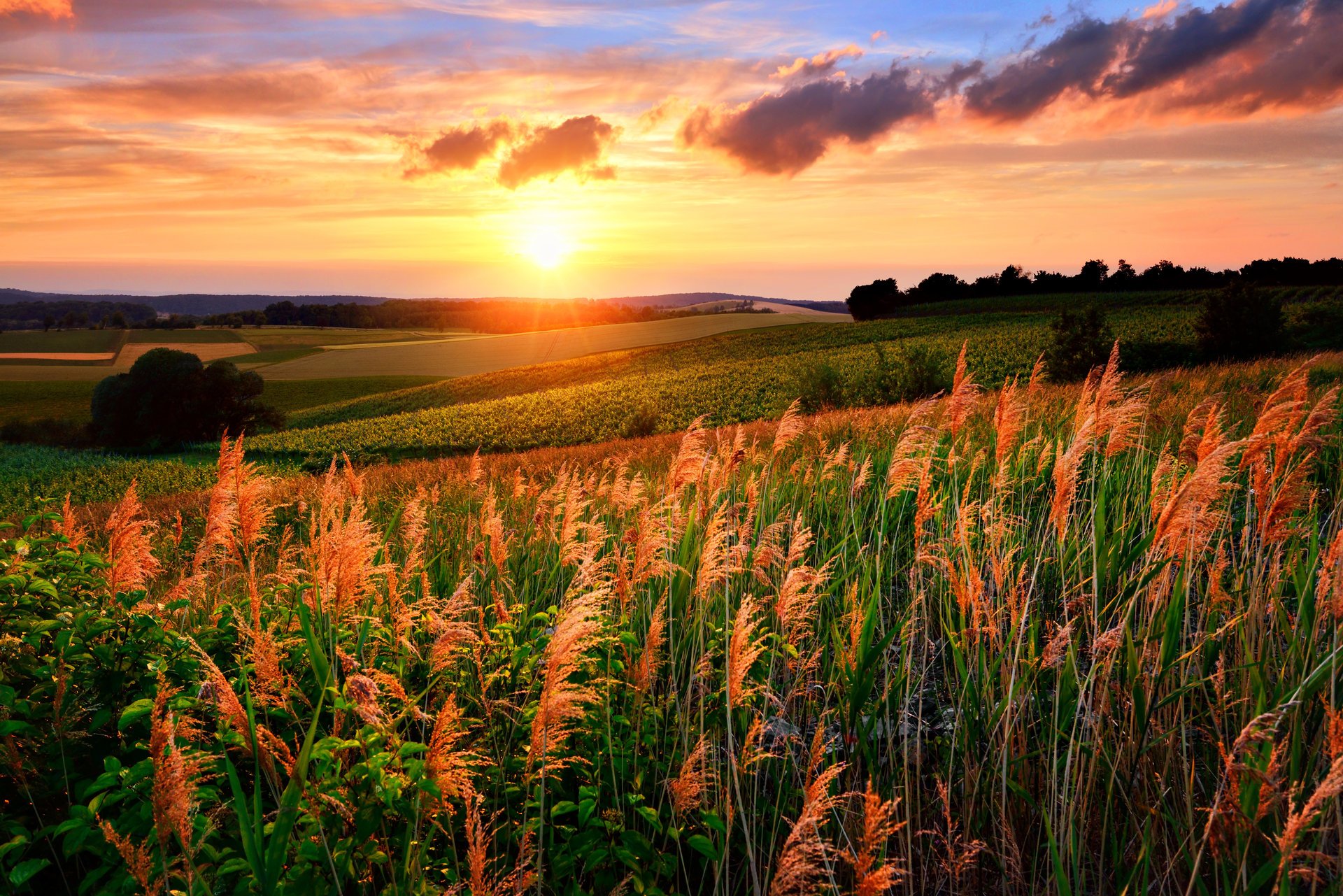 landschaft sonnenuntergang felder himmel wolken sonne natur