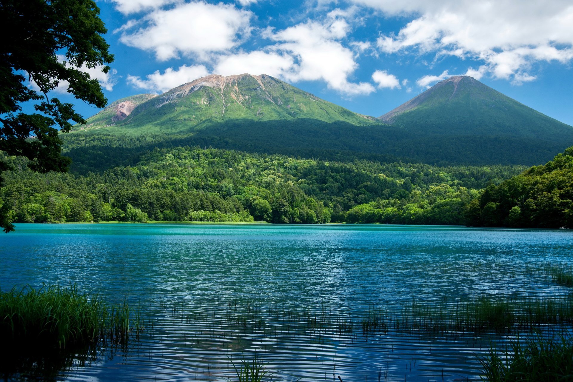 nature montagnes lac forêt