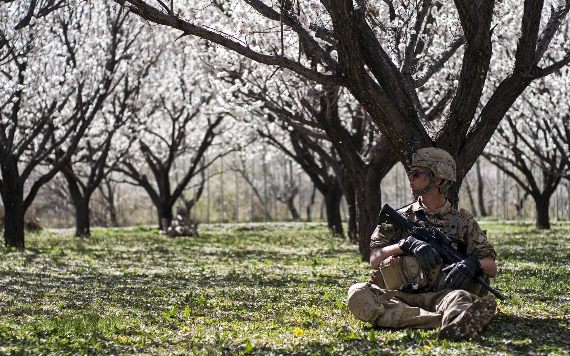 soldat waffe garten