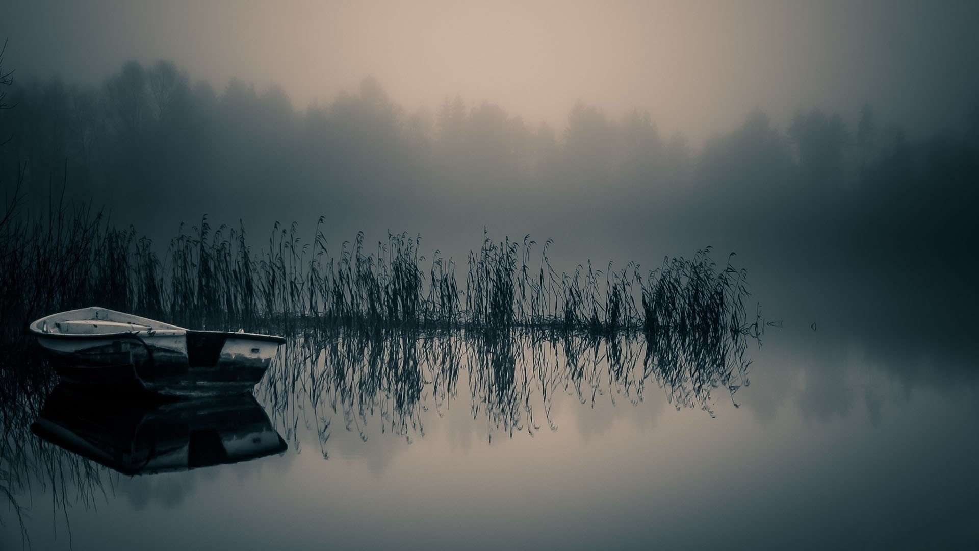 lake fog boat