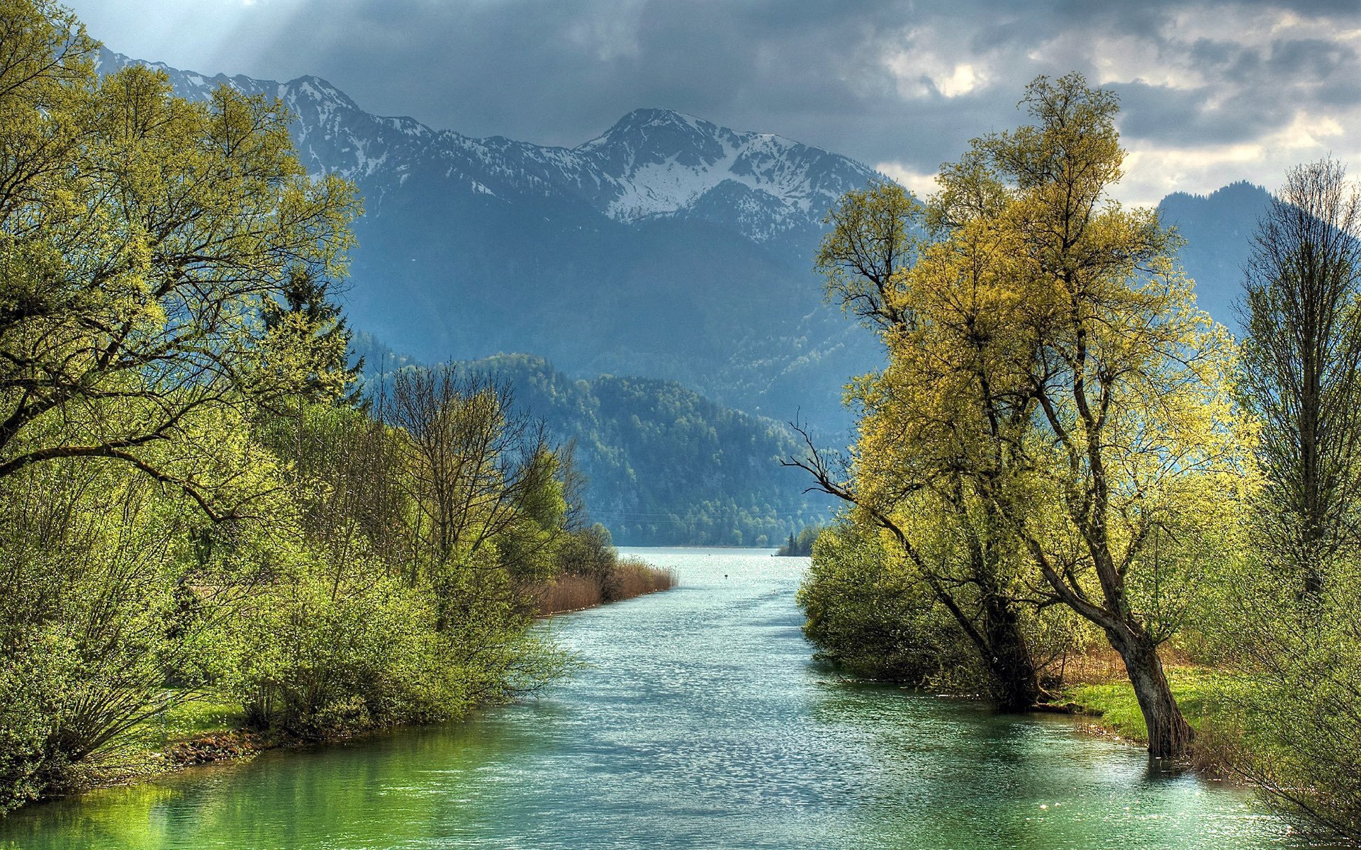 berge wald fluss