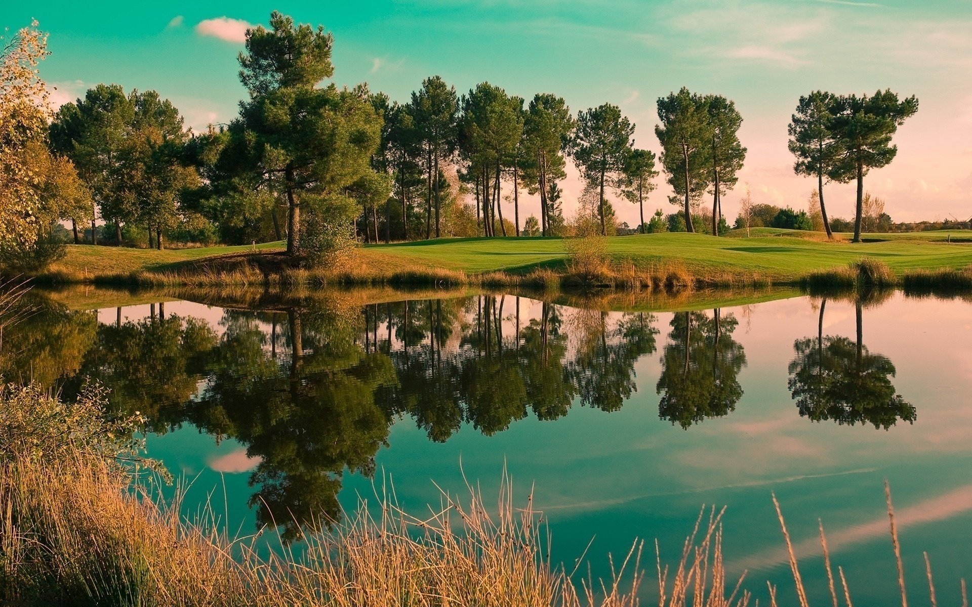 lake summer trees nature